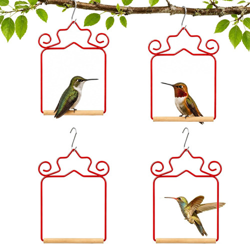 Metal hummingbird swing set - hummingbird,